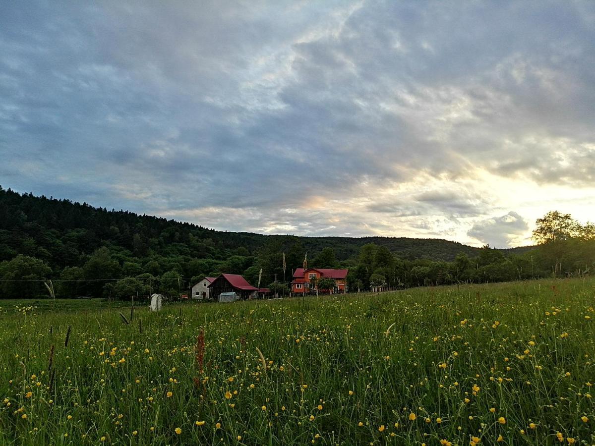 Rzepedka Villa Rzepedz Eksteriør billede