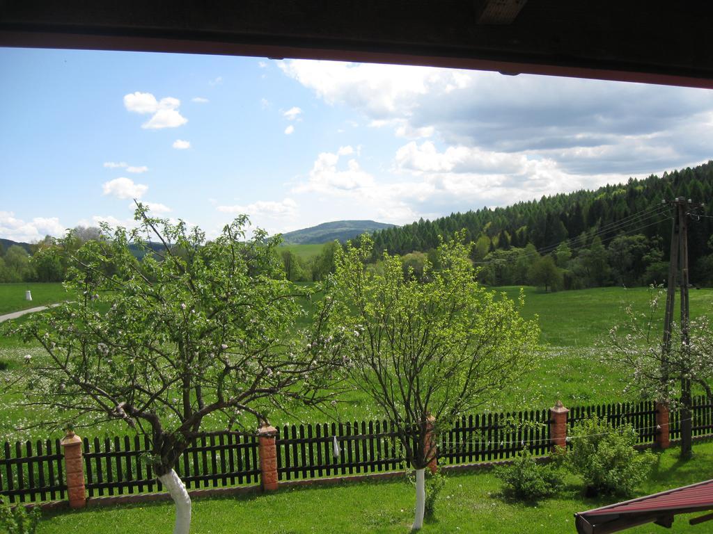 Rzepedka Villa Rzepedz Eksteriør billede